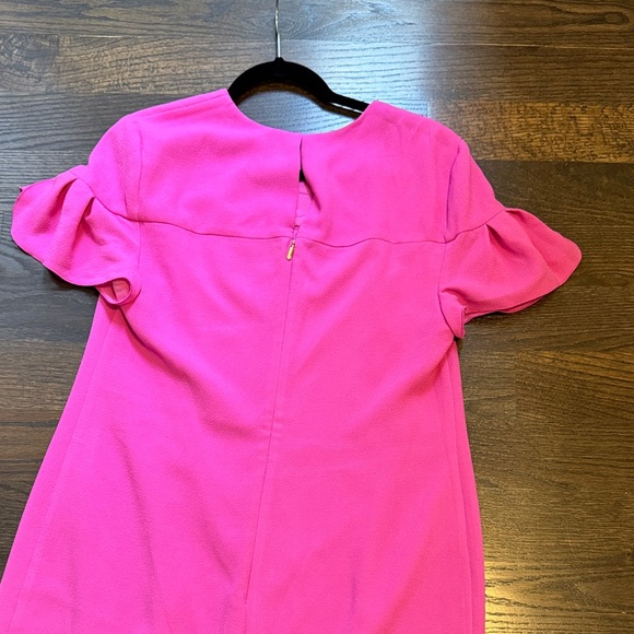 Pink Ruffle Sleeve Dress - Picture 2 of 6